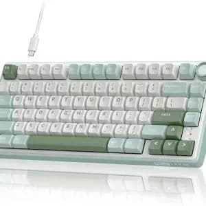 ROYAL KLUDGE RK R75 Mechanical Keyboard Wired (White-Green)